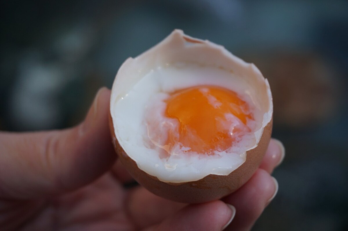 温泉たまご
